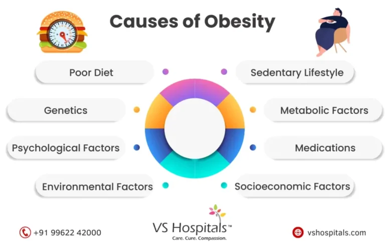 Obesity explained: causes of obesity