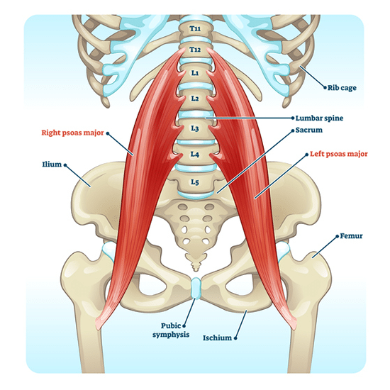 Tight Hip Flexors Causing Back Pain